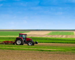 PAN Europe's report: Weed management: Alternatives to the use of glyphosate