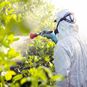 EDC-Free Europe campaigners comment on public consultation on EU proposal for a Pesticide Reduction Law