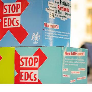Die Kampagne der NGO-Allianz EDC-Free Europe gegen hormonell schädliche Chemikalien in Deutschland und Österreich geht weiter